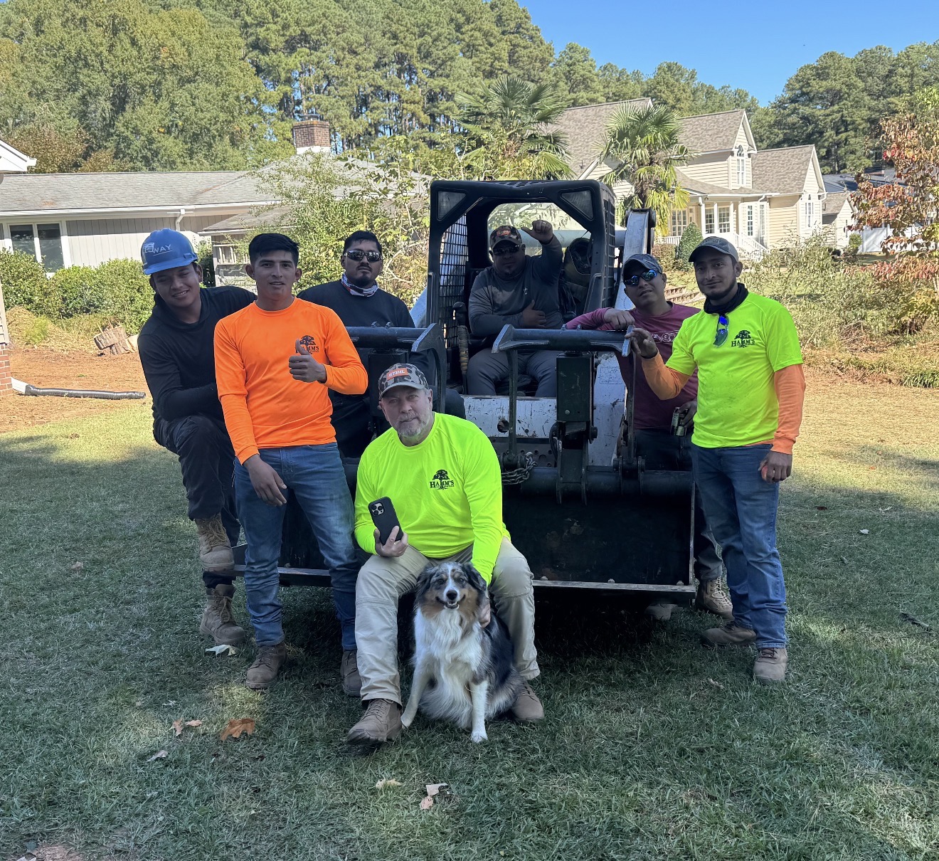 David Hamm and the Hamm's Tree Service crew on the job
