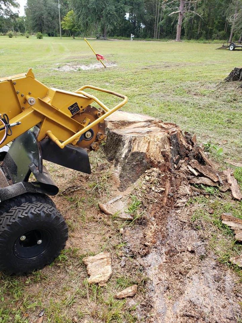 Stump Grinding & Removal